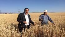 CHP'li Gürer:Buğday taban fiyatı en az 15 lira olmalı